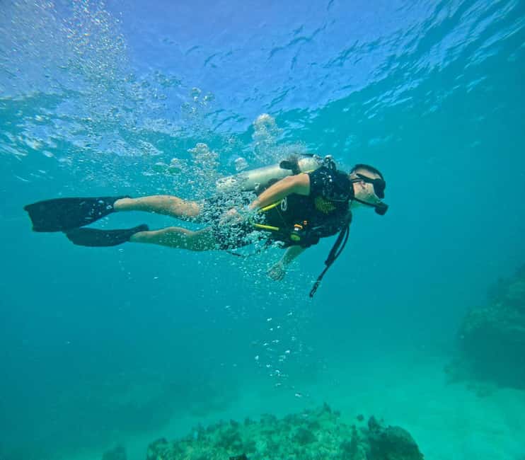Bávaro: Scuba Diving Experience for Beginners - What to Expect During the Tour