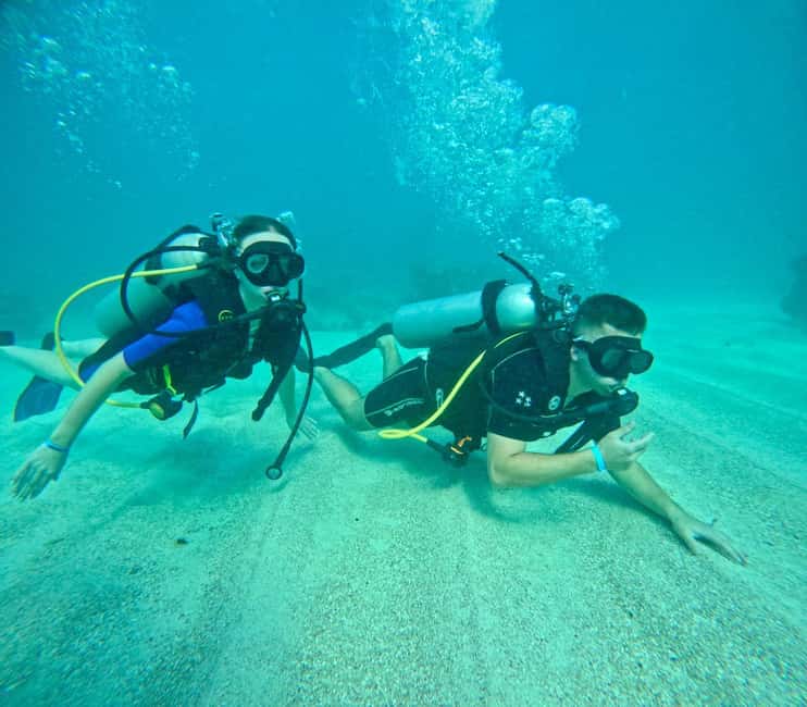 Bávaro: Scuba Diving Experience for Beginners - An Overview of the Experience