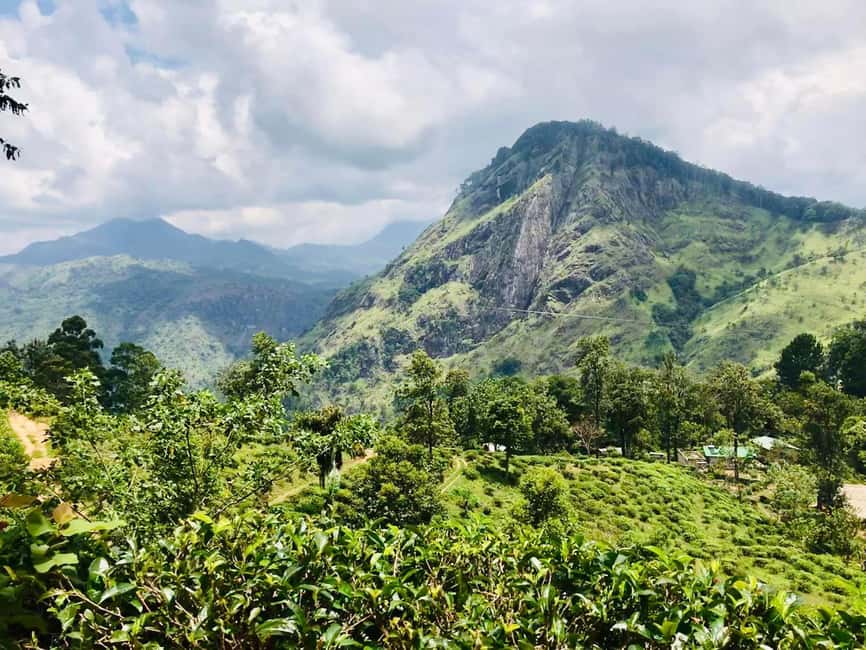 Sri Lanka 3-day Private Tour: Kandy, Nuwara Eliya, Ella - Personal Experience and Authentic Insights