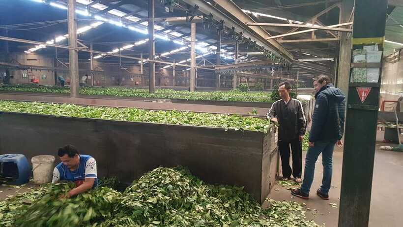 The Breathtaking Views Of The Countryside In Bandung - Final Thoughts