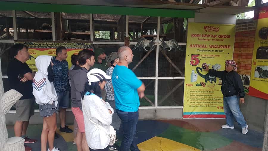 The Breathtaking Views Of The Countryside In Bandung - An In-Depth Look at the Bandung Countryside Tour