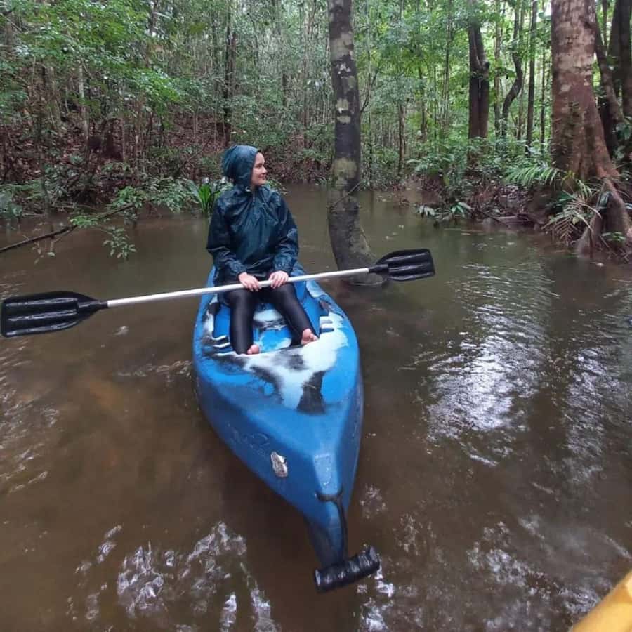 Manaus: Adventure Tree Climbing - A Closer Look at the Tour Itinerary