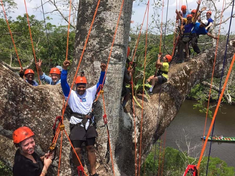 Manaus: Adventure Tree Climbing - Key Points