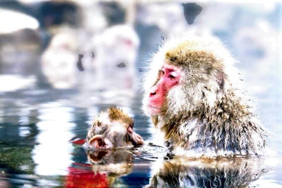 From Tokyo: Snow Monkey & Zenkoji Temple Private Tour - Returning to Tokyo  