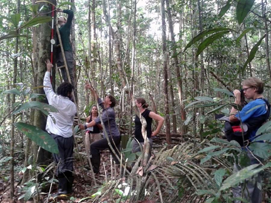 Manaus : Survival in the Amazon Jungle - Who Should Consider This Tour?