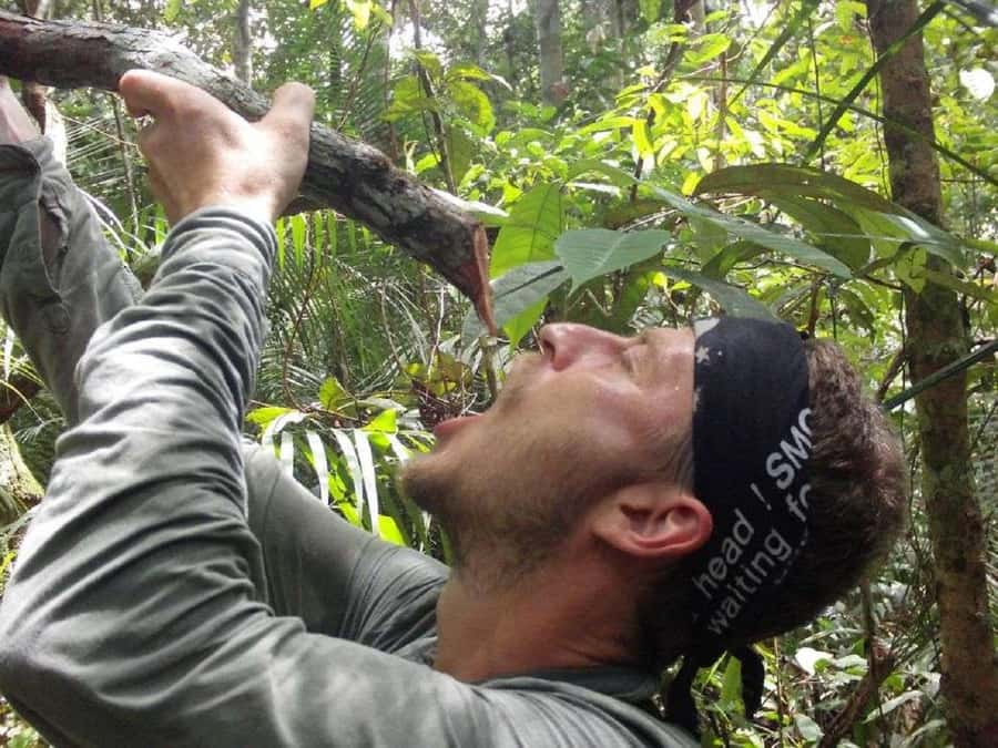 Manaus : Survival in the Amazon Jungle - Key Points