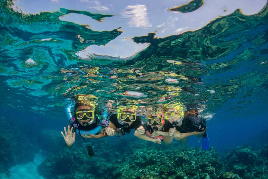 Cairns: Best Value All-inclusive Reef Trip With Scuba Dive - Final Thoughts