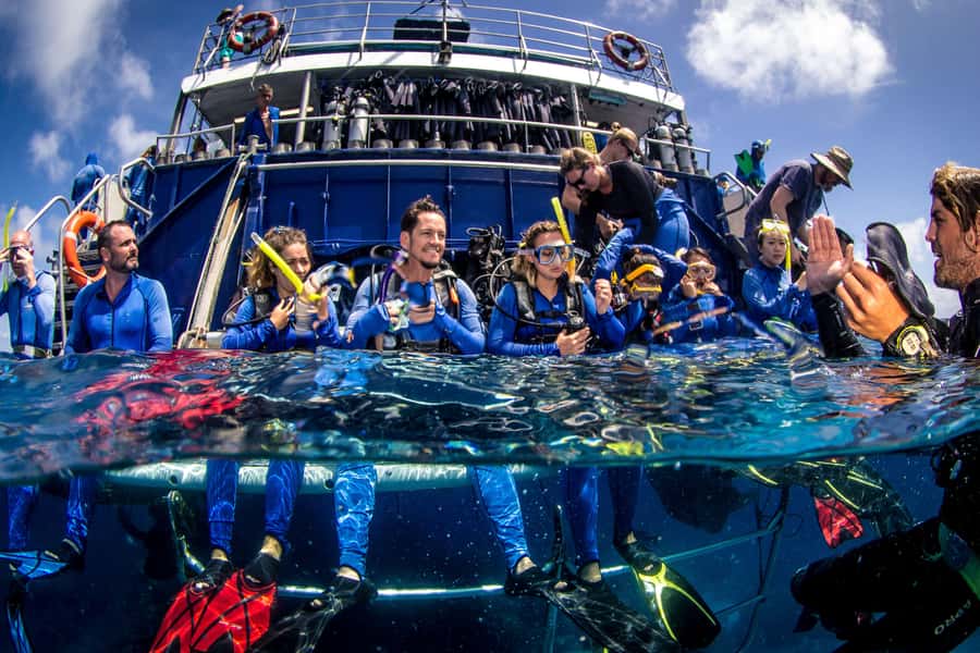 Cairns: Best Value All-inclusive Reef Trip With Scuba Dive - Good To Know