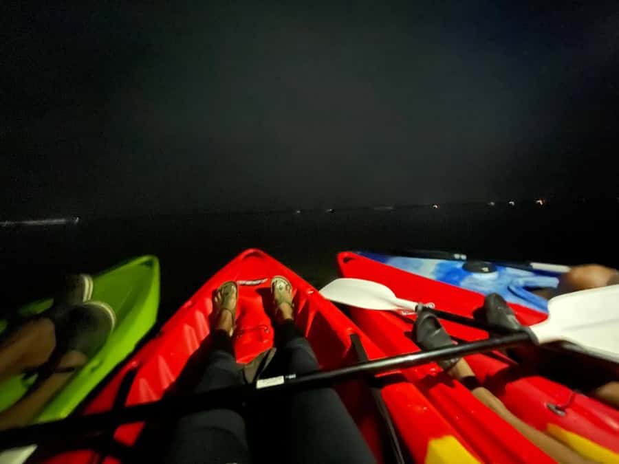 Full Moon Night Kayaking to Pathiramanal Island - Why This Tour Is Worth Considering