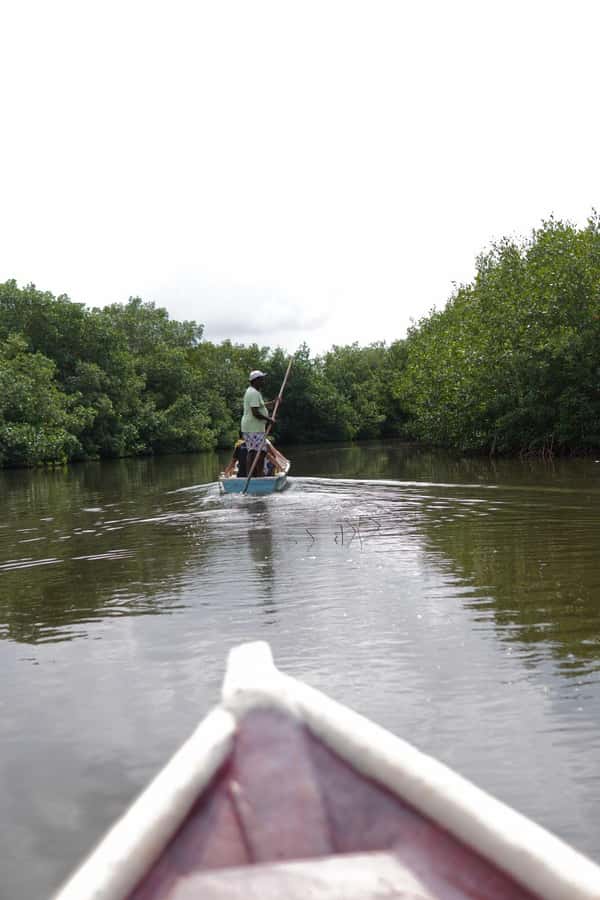 Cartagena: Artisanal fishing through the mangroves - Key Points
