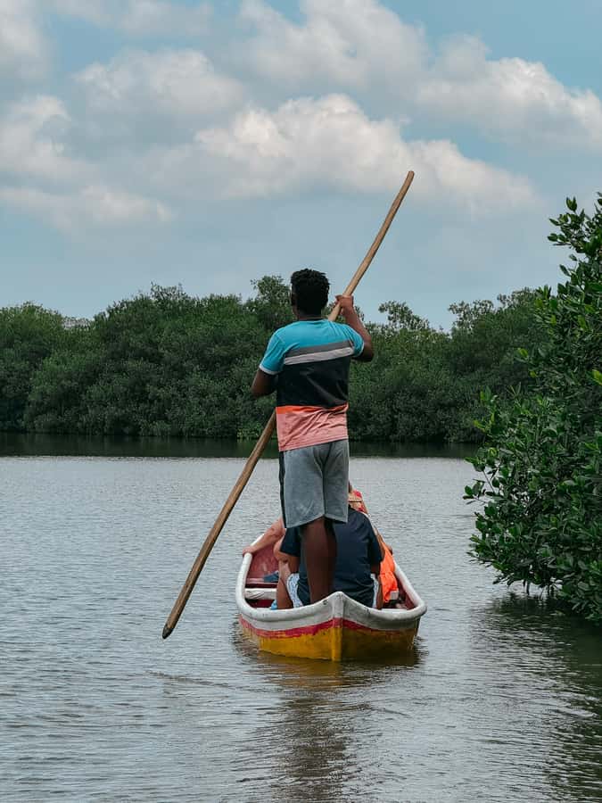 Cartagena: Artisanal fishing through the mangroves - Who Will Enjoy This Tour?