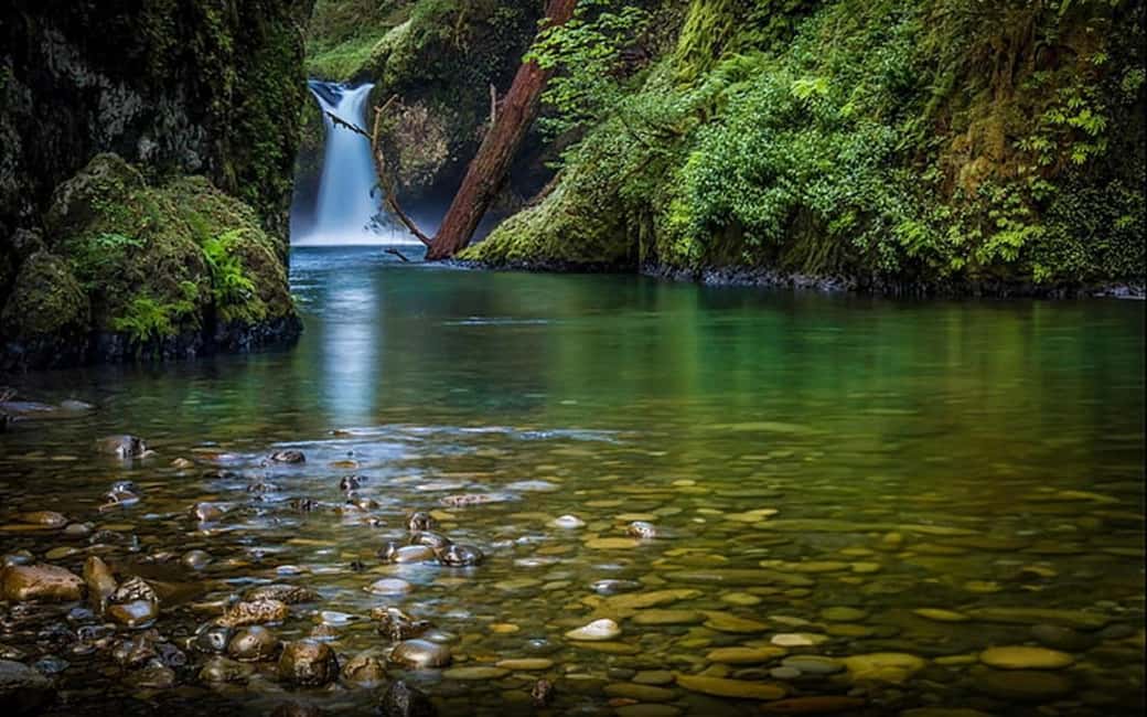 2-Day Jungle Safari: Chennai to Jim Corbett by Air via Delhi - Key Points