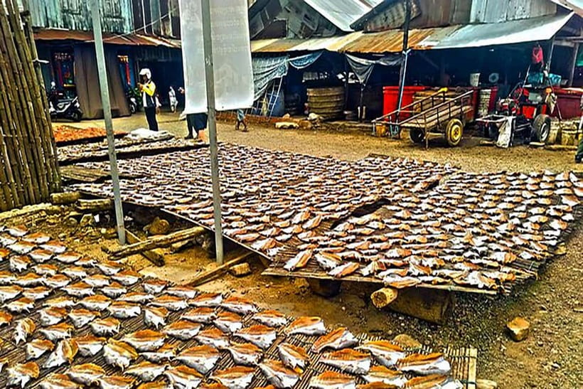 Half-Day Cycling to Discover Battambang's Rural Livelihoods - Authentic Experiences That Stand Out