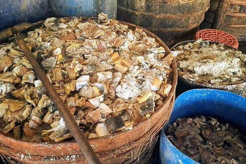 Half-Day Cycling to Discover Battambang's Rural Livelihoods - Who Will Love This Tour?