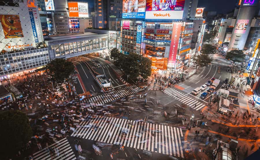 Shibuya: 2-Hour Bar Hopping & Local Food Night Tour - The Practicalities: What to Expect