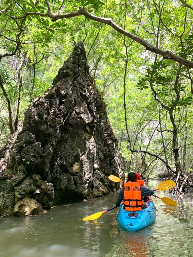 Krabi: ATV Jungle Bash & Kayak Odyssey in Din Daeng Mangrove - Final Thoughts