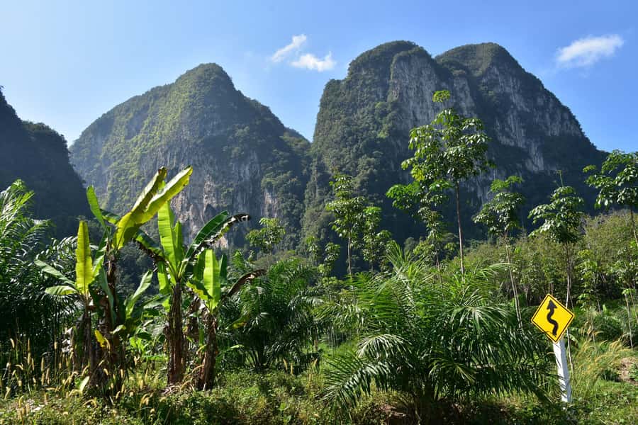 Krabi: ATV Jungle Bash & Kayak Odyssey in Din Daeng Mangrove - Who Will Love This Tour?