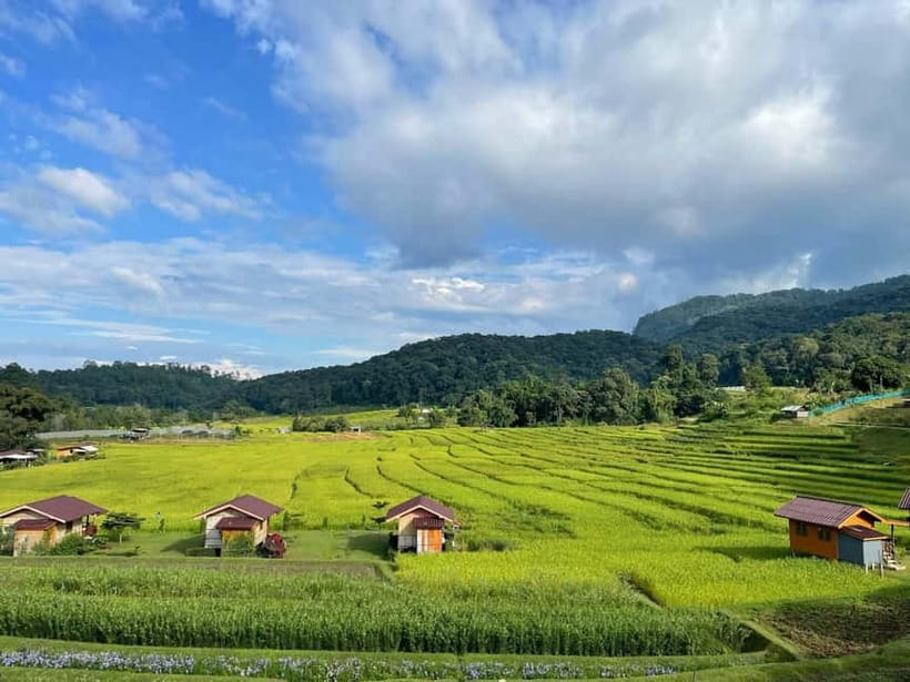 From Chiang Mai: Doi Inthanon National Park Day Trip - Unique Insights from Reviews