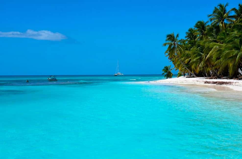From Punta Cana: Saona Island Full-Day Tour - Who Will Love This Tour?