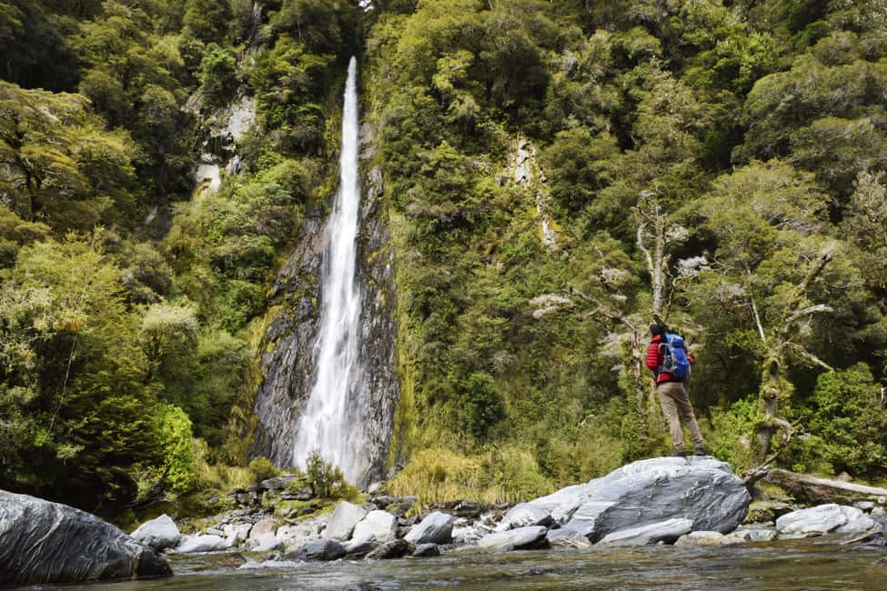 Franz Josef: to Wanaka Small Group 1 Way Tour with Lunch - Key Points