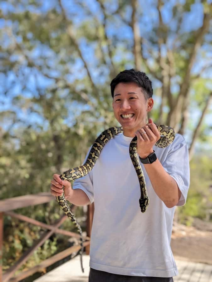 Cairns: Mareeba Wildlife and Coffee Tour - Key Points