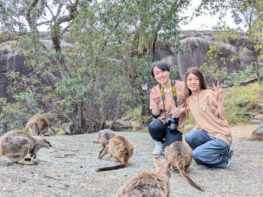 Cairns: Mareeba Wildlife and Coffee Tour - A Detailed Look at the Itinerary