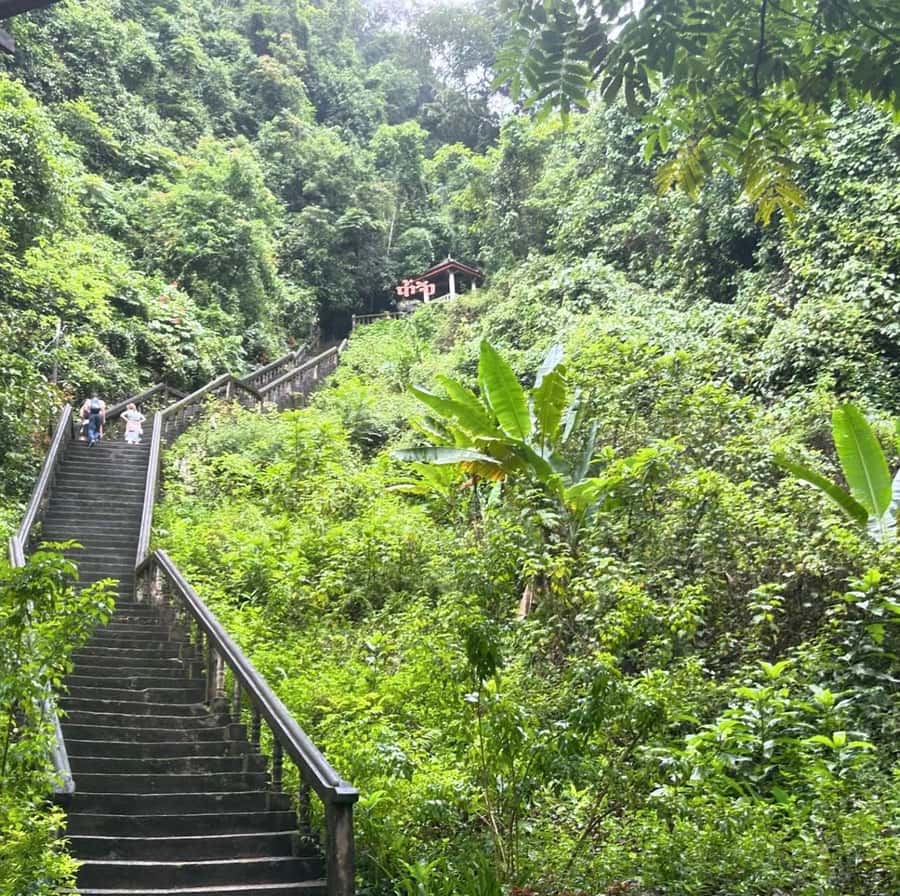From Vang Vieng: Cave Kayak & Zipline - Swimming and Relaxing at Blue Lagoon