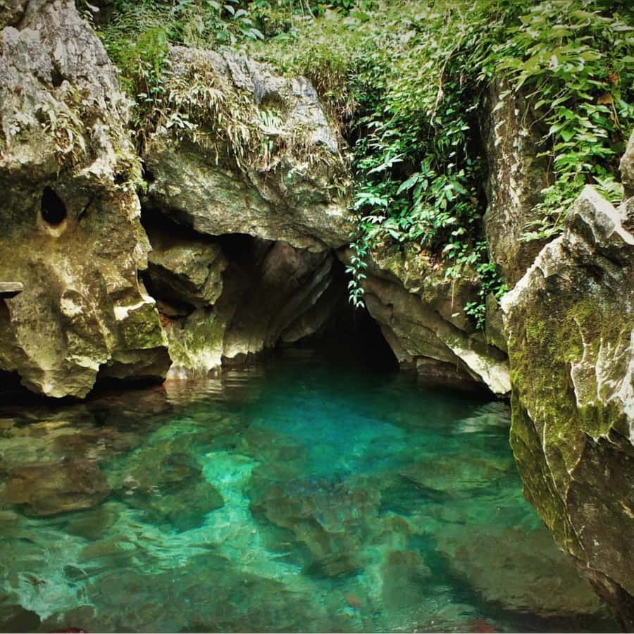 From Vang Vieng: Cave Kayak & Zipline - What Reviewers Say