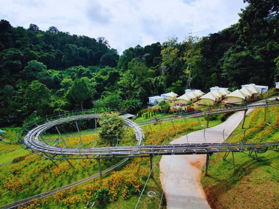 Pongyang Jungle Coaster & Zipline (Transfer) - Key Points