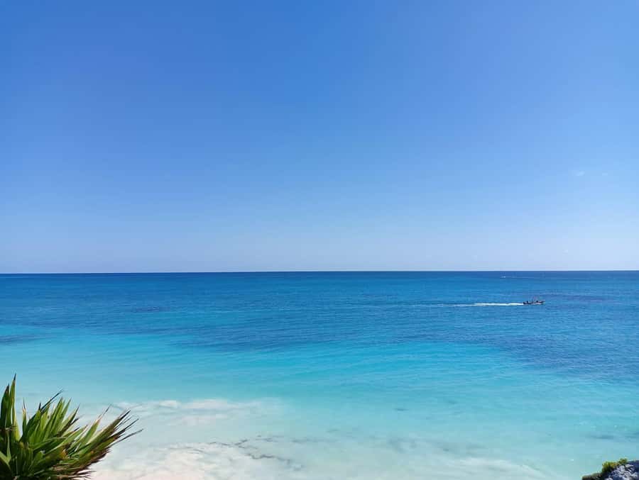 Tulum: Get a private guide to show you the Mayan Ruins - A Closer Look at the Tulum Private Guided Tour