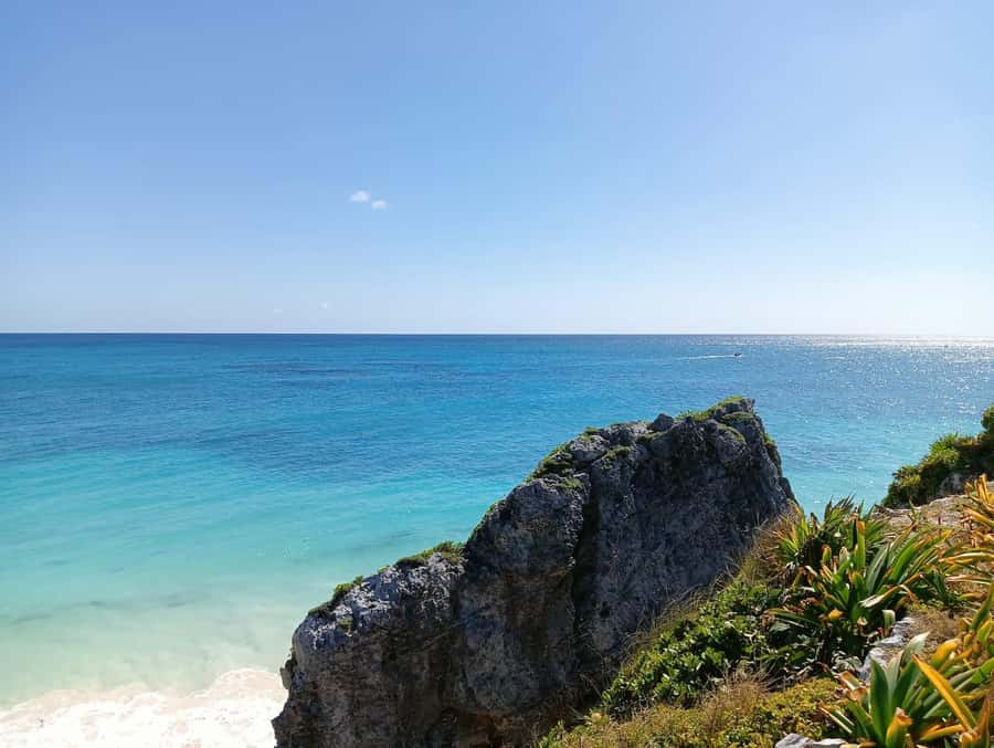 Tulum: Get a private guide to show you the Mayan Ruins - Frequently Asked Questions