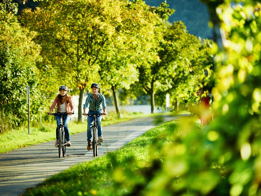 Zell: Bike and boat tour with wine tasting and picnic - Zell: Bike and Boat Tour with Wine Tasting and Picnic