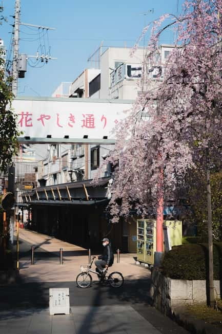 Photography Tour of ASAKUSA, TOKYO - Key Points