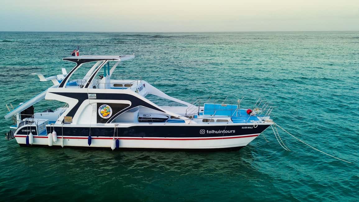 Punta Cana: Private Catamaran Cruise, Snorkeling & Open bar - Key Points