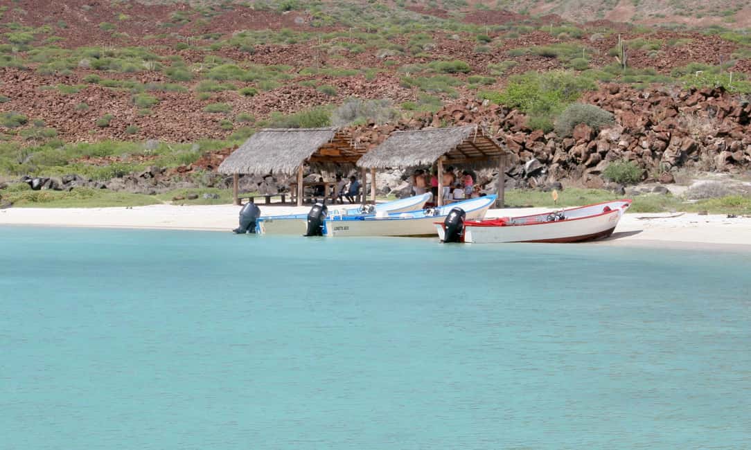 Coronado Island and Snorkel Tour - Key Points