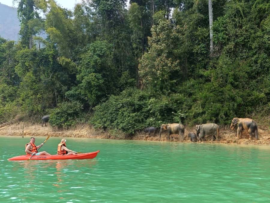 From Krabi: Unforgettable Full-Day Khao Sok Lake Adventure - A Closer Look at the Khao Sok Lake Full-Day Tour