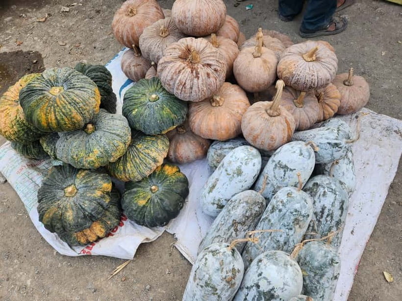 From Vientiane: Plain of Jars Tour & Homestay - Day 3: Mountain Trekking and Village Life