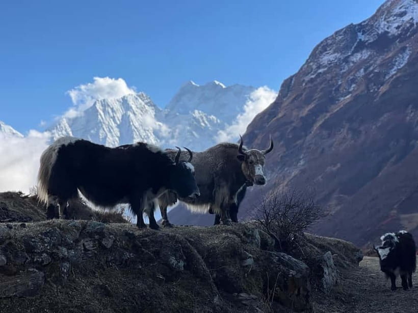 Tsum Valley: 16-Day Trek - The Sum Up