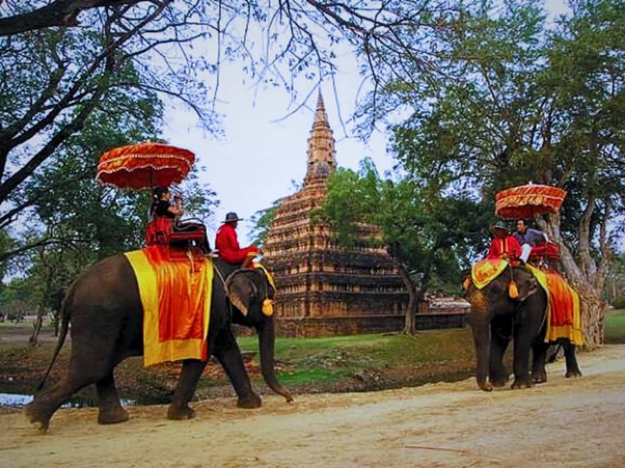 From Bangkok: Ayutthaya Tour, Elephant Palace & Royal Kraal - Why Choose this Ayutthaya Tour?