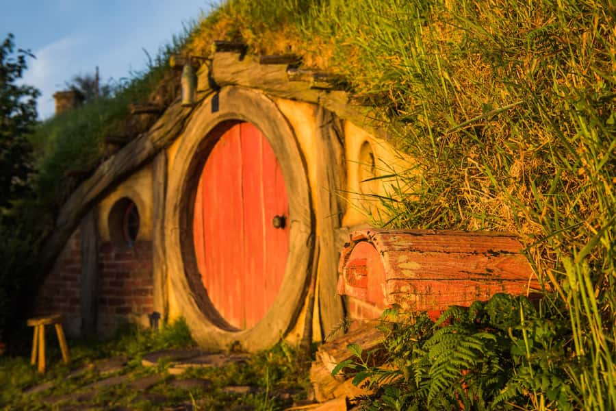 Hobbiton Movie Set & Te Puia Geothermal Valley Private Tour - Kiwi Bird Enclosure: A Rare Opportunity