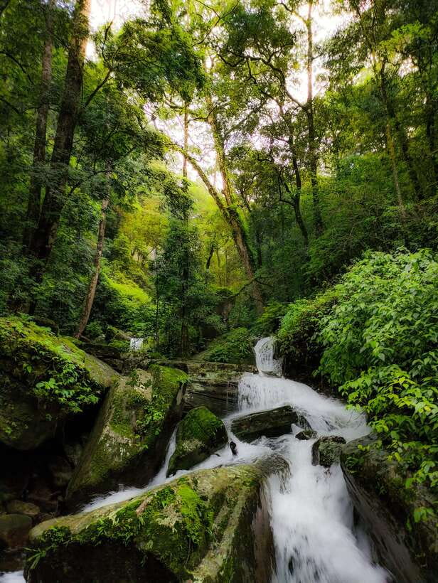 Knuckles Mountain Range: Hidden Waterfall Chain Hike - Who Is This Tour Best For?  