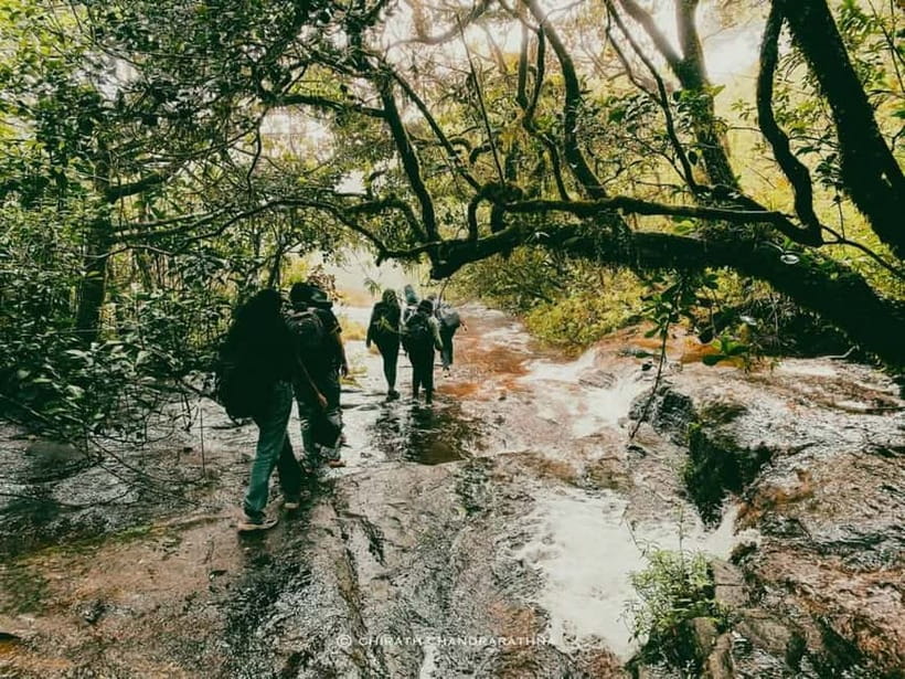 Knuckles Mountain Range: Kotaganga Waterfall Chain Hike - Key Points