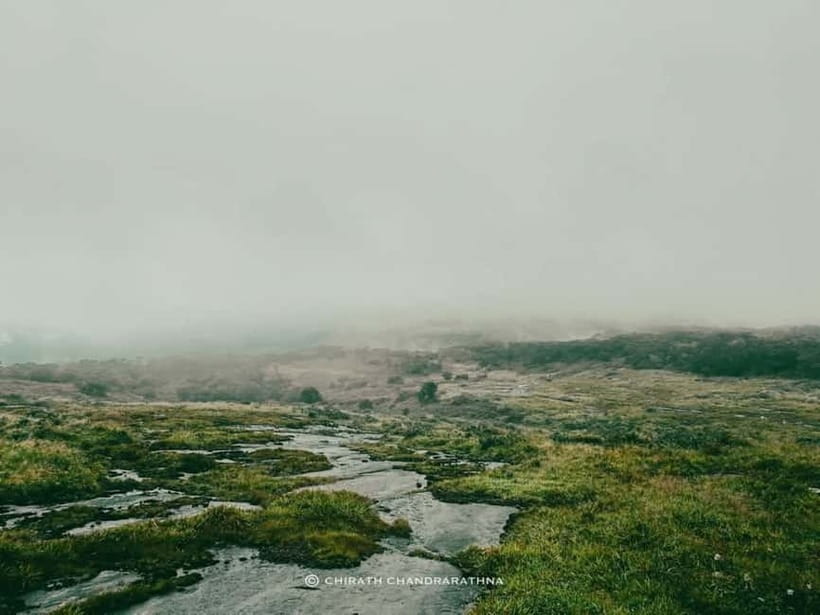 Knuckles Mountain Range: Kotaganga Waterfall Chain Hike - Exploring the Itinerary in Detail