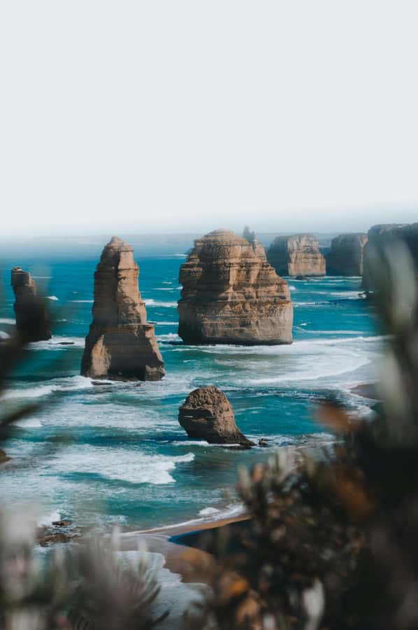 Melbourne: Great Ocean Road Limo Tour with Hotel Pickup - A Luxury Twist on a Classic Australian Coastline