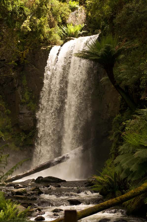 Melbourne: Great Ocean Road Limo Tour with Hotel Pickup - Good To Know