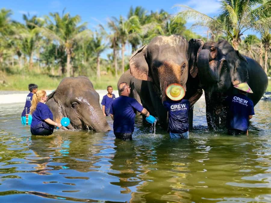 Bangkok: Elephant Sanctuary &Khao Kheow Open Zoo (Moodeng) - Itinerary Breakdown