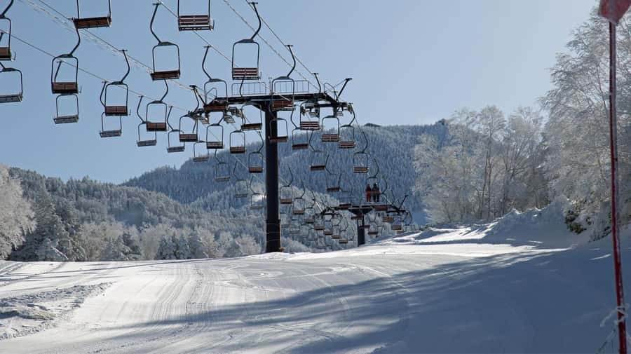 Tokyo: Shiga Kogen Ski Resort day Tour With English driver - Why Choose This Tour?