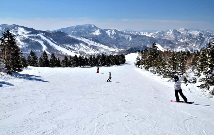 Tokyo: Shiga Kogen Ski Resort day Tour With English driver - Practical Aspects and Considerations