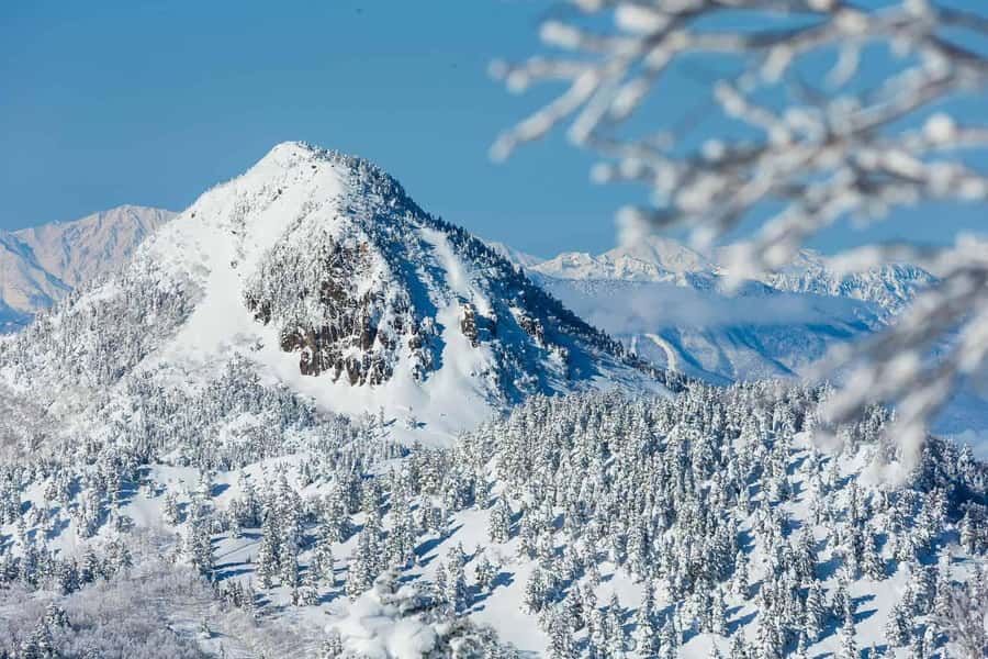 Tokyo: Shiga Kogen Ski Resort day Tour With English driver - What We Loved About This Experience