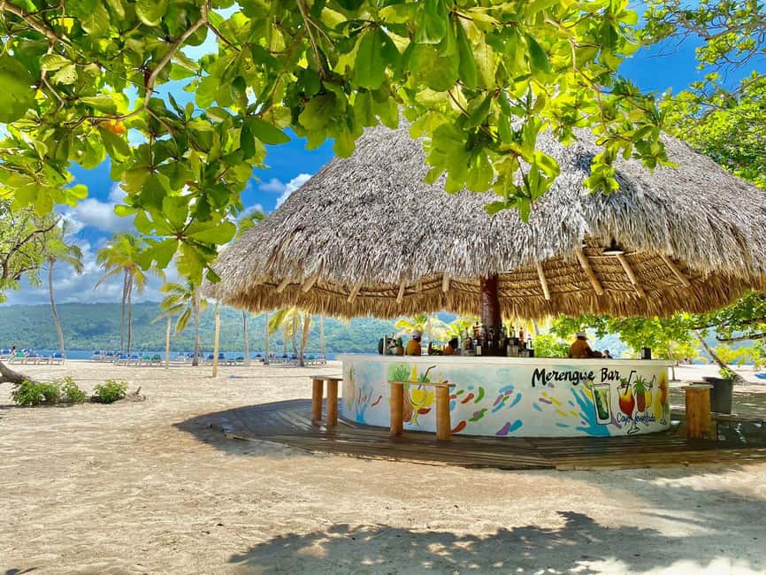 Rincon Beach and Cayo Levantado from Punta Cana - Who Should Consider This Tour?